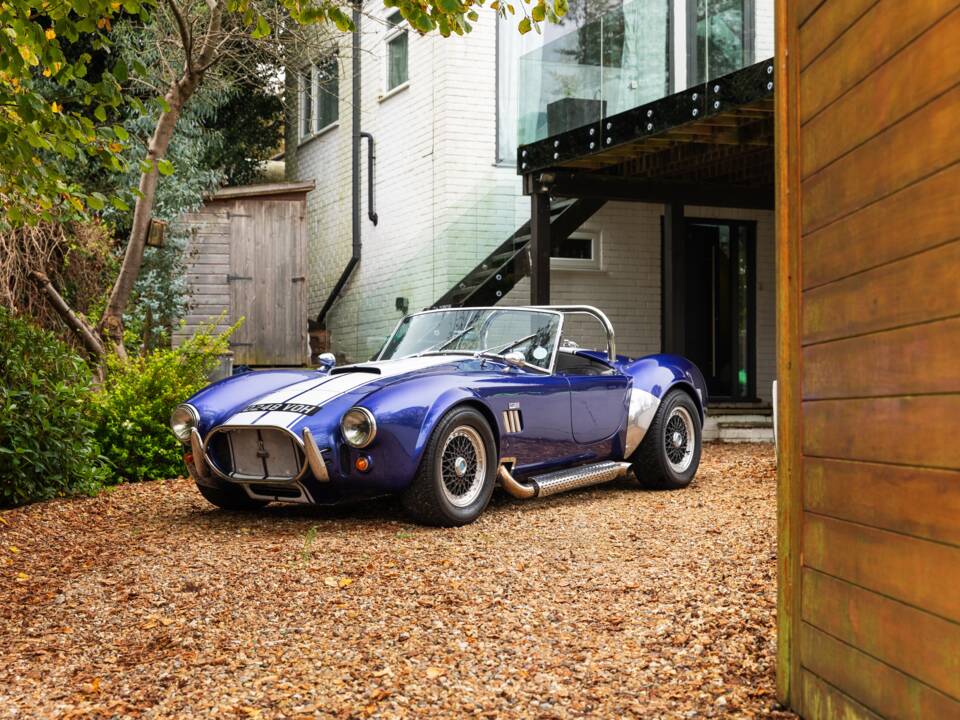 Bild 13/50 von AC Cobra 289 (1997)