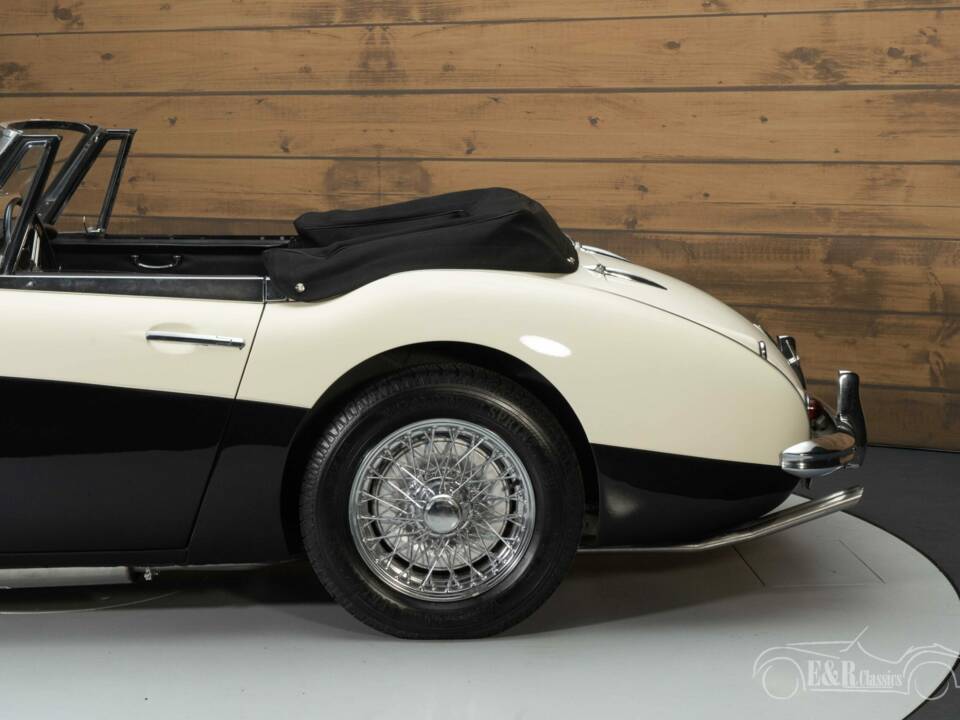 Bild 8/8 von Austin-Healey 3000 Mk II (BJ7) (1964)