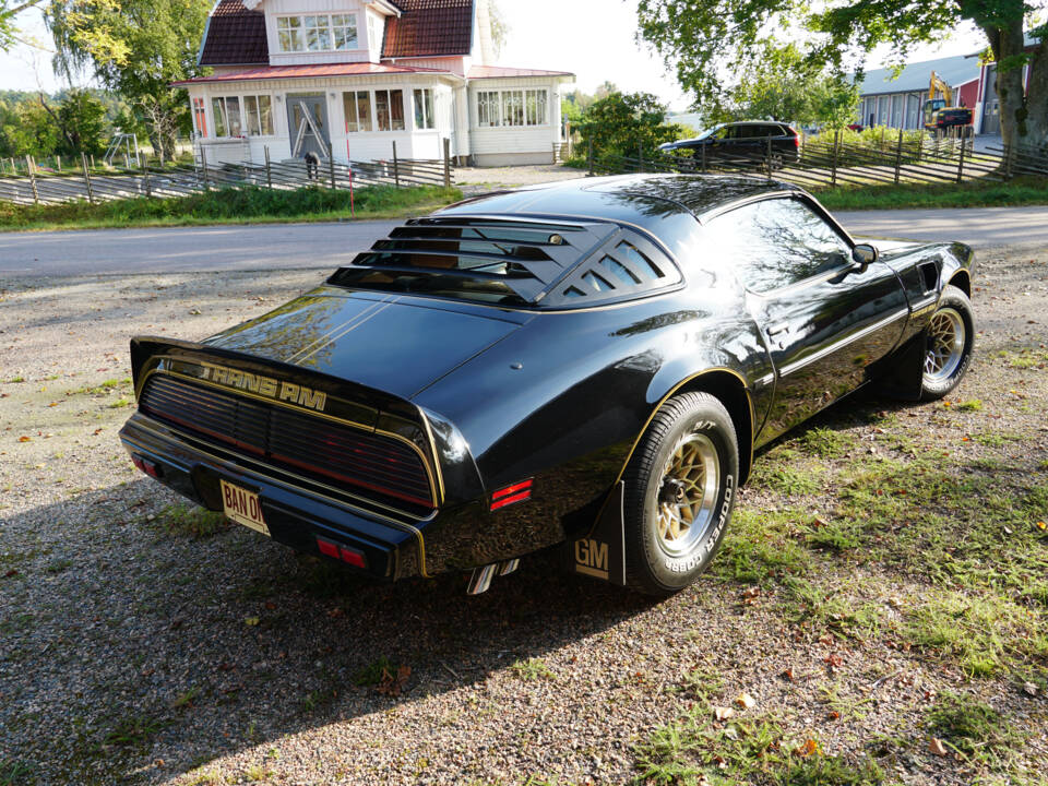 Image 13/69 of Pontiac Firebird TransAm (1979)