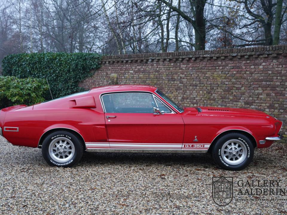 Image 28/50 de Ford Shelby GT 350 (1968)