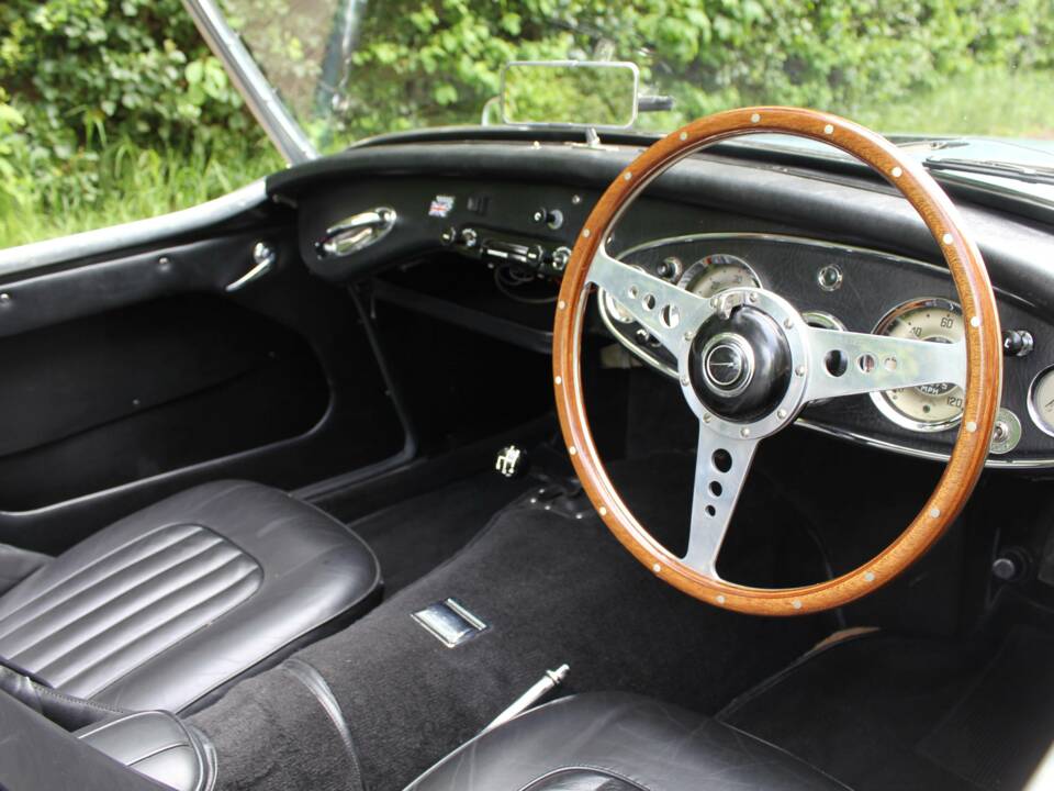 Immagine 8/17 di Austin-Healey 3000 Mk I (BT7) (1960)