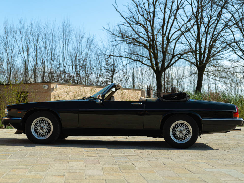 Bild 9/50 von Jaguar XJS 5.3 V12 (1988)