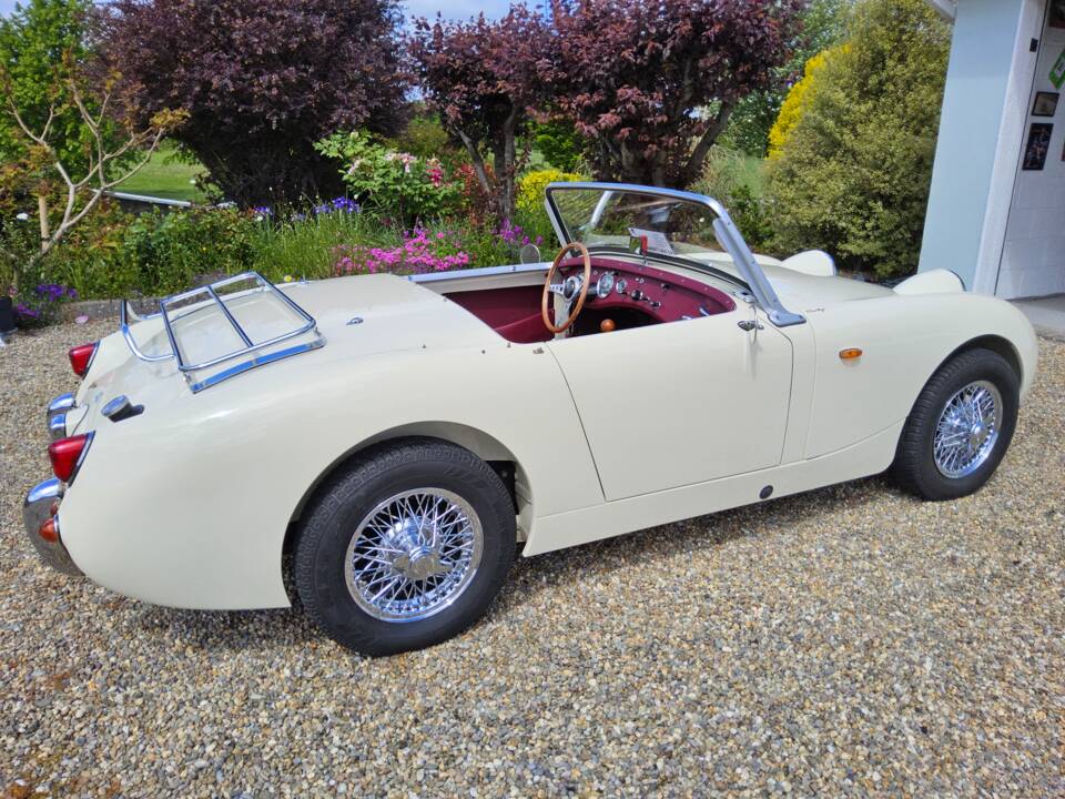 Image 18/32 of Austin-Healey Sprite Mk I (1959)