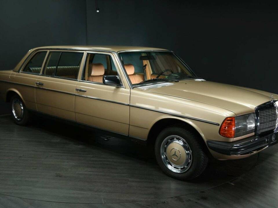 Bild 9/49 von Mercedes-Benz 250 lang (1985)
