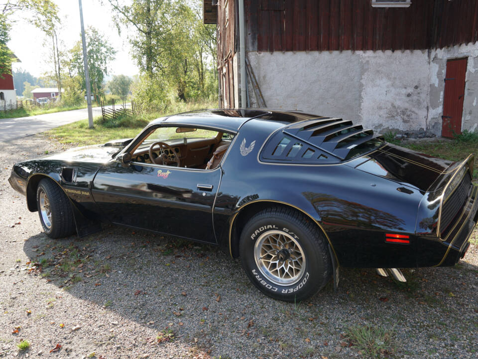 Image 15/69 of Pontiac Firebird TransAm (1979)