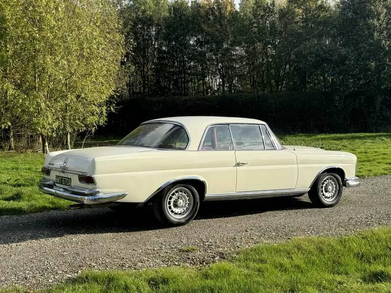 Image 35/50 of Mercedes-Benz 220 SE b (1963)