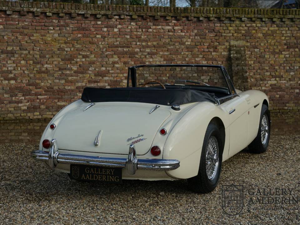 Imagen 19/50 de Austin-Healey 3000 Mk II (BJ7) (1963)