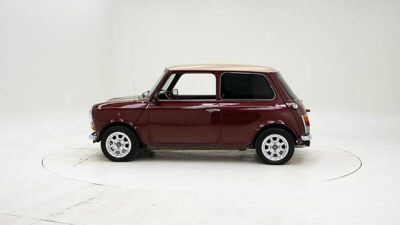 Bild 8/15 von Mini 1000 (1990)