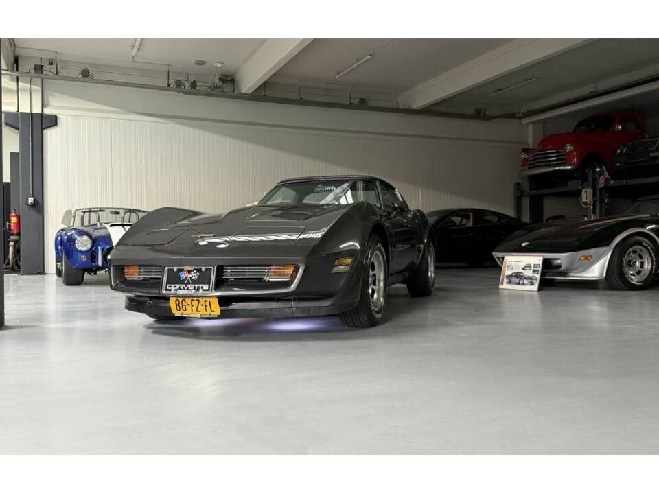 Bild 14/14 von Chevrolet Corvette Sting Ray (1981)