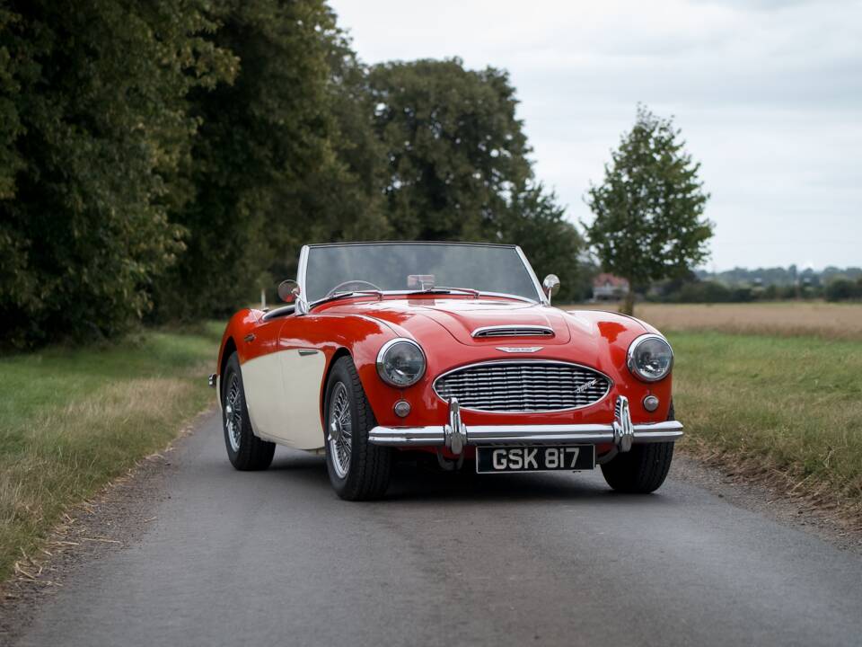 Bild 1/30 von Austin-Healey 3000 Mk I (BN7) (1959)