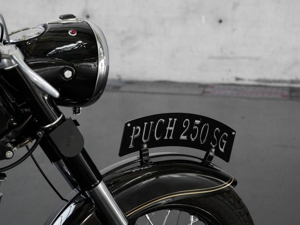 Image 16/20 of Puch 250 SG (1955)