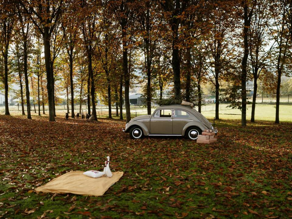 Immagine 28/56 di Volkswagen Maggiolino 1100 Standard "Ovali" (1954)