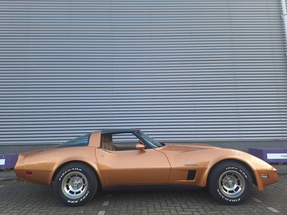 Image 21/25 of Chevrolet Corvette (1982)