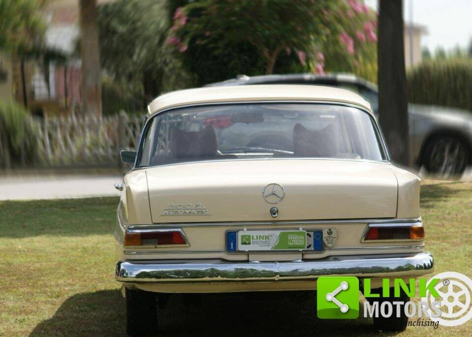 Bild 5/10 von Mercedes-Benz 200 D (1967)