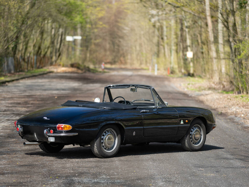 Image 12/59 of Alfa Romeo 1600 Spider Duetto (1966)