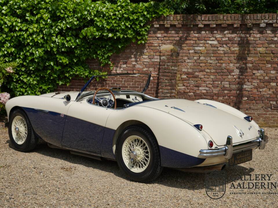 Image 42/50 of Austin-Healey 100/4 (BN1) (1954)