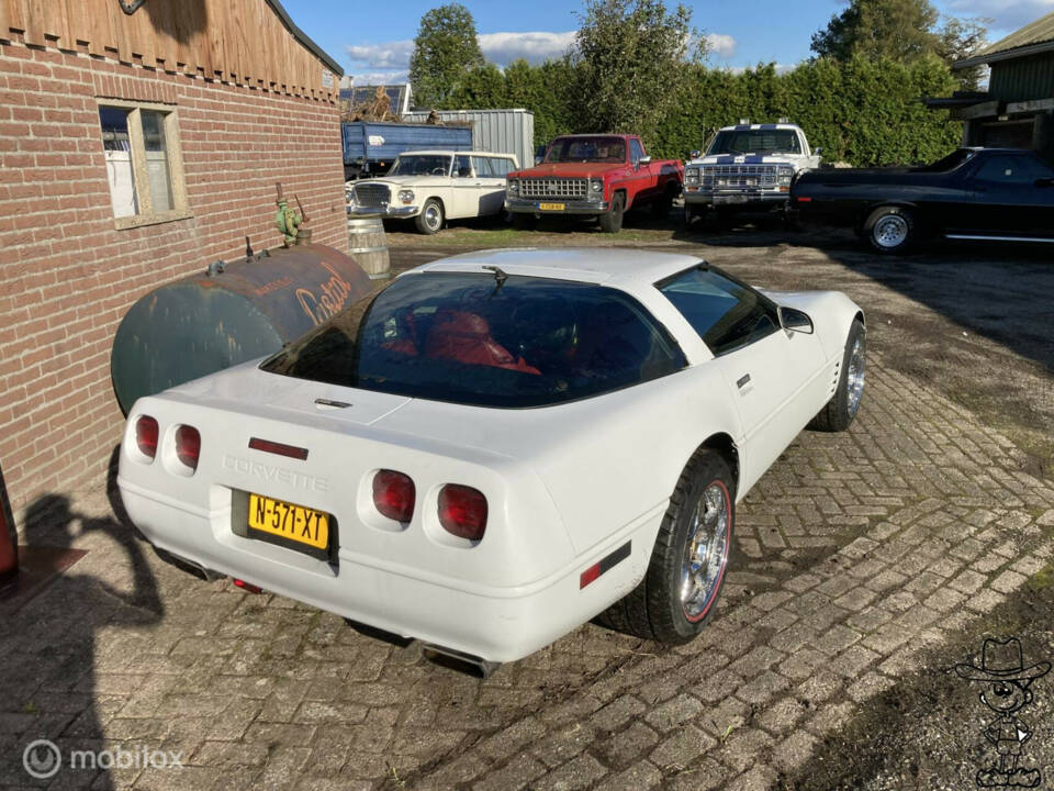 Imagen 4/23 de Chevrolet Corvette (1994)