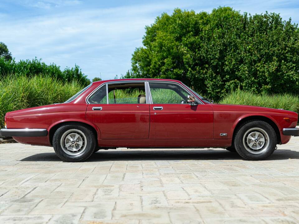 Bild 4/50 von Jaguar XJ 6 4.2 (1981)