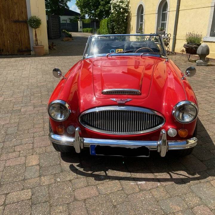 Immagine 6/11 di Austin-Healey 3000 Mk III (BJ8) (1966)