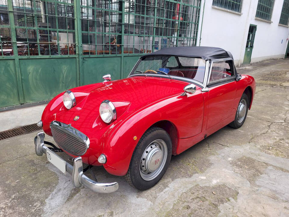 Image 28/51 of Austin-Healey Sprite Mk I (1960)