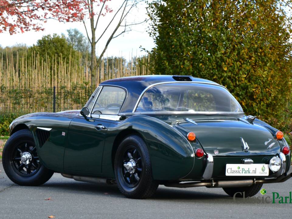 Bild 3/50 von Austin-Healey 3000 Mk III (BJ8) (1967)