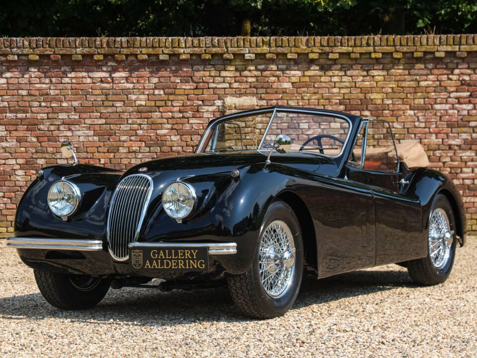 Immagine 20/50 di Jaguar XK 120 DHC (1953)
