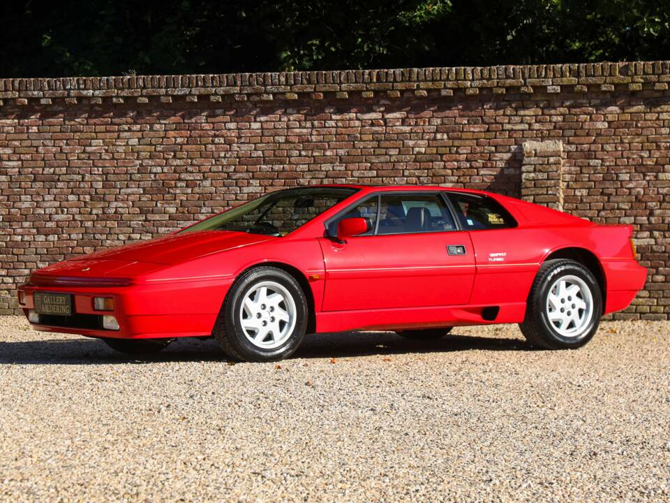 Image 17/50 of Lotus Esprit SE (1992)