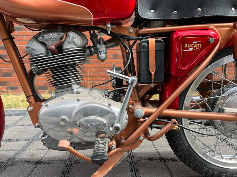 Bild 18/27 von Ducati DUMMY (1959)