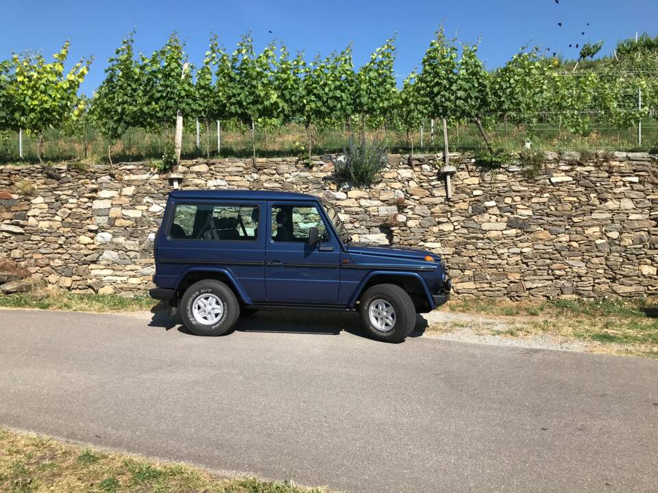 Bild 48/51 von Steyr-Puch 280 GE (kurz) (1988)
