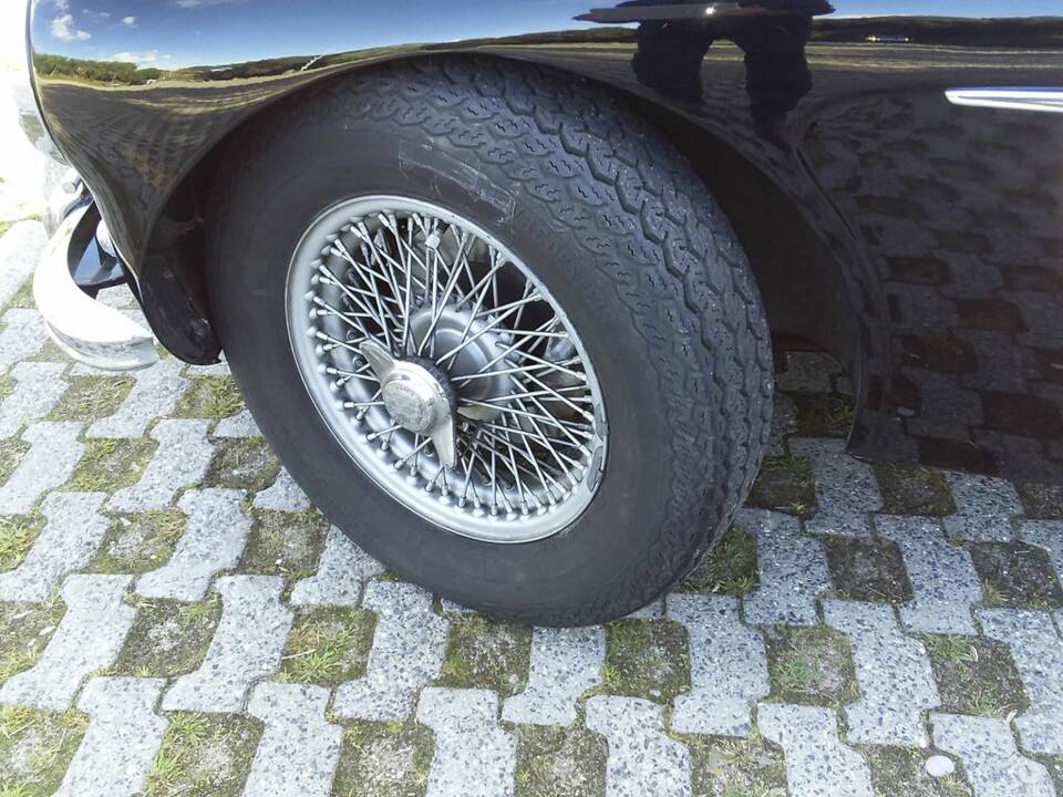 Imagen 6/8 de Austin-Healey 100/6 (BN6) (1958)