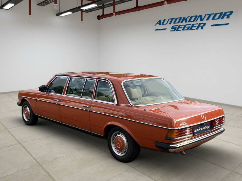 Bild 6/60 von Mercedes-Benz 250 (1978)