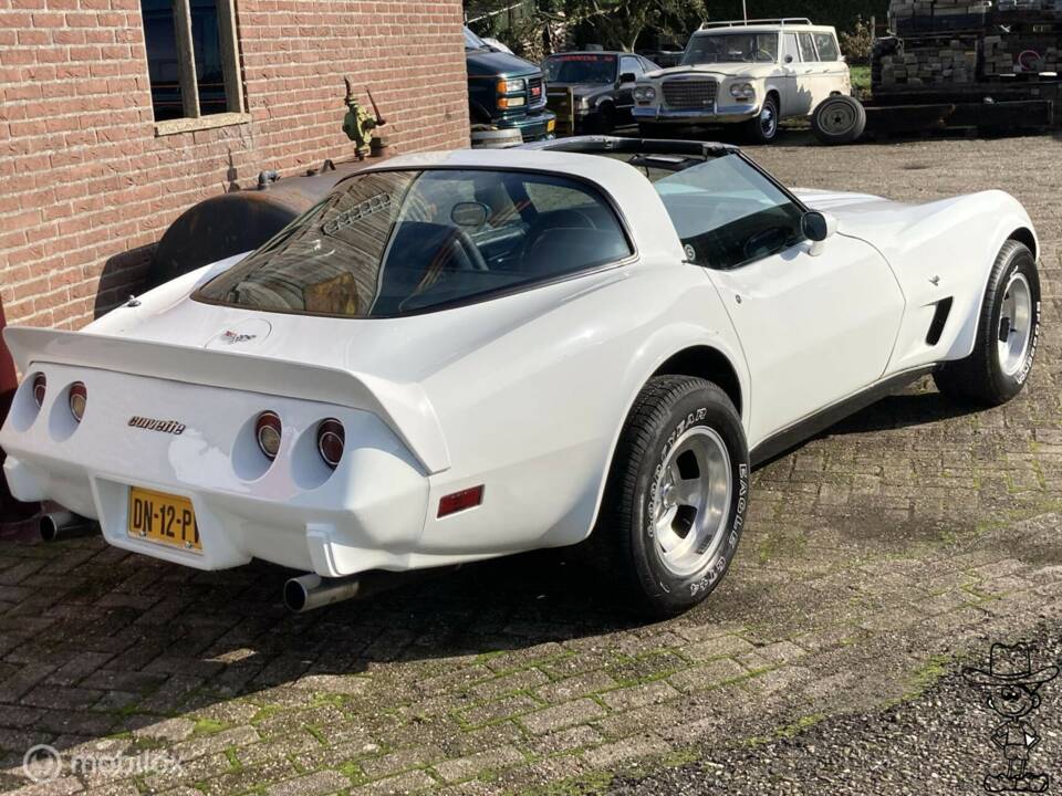 Afbeelding 27/50 van Chevrolet Corvette Sting Ray (1979)
