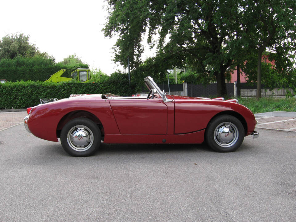 Bild 3/11 von Austin-Healey Sprite Mk I (1960)