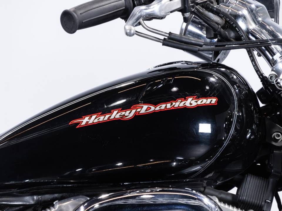 Bild 35/50 von Harley-Davidson DUMMY (2006)