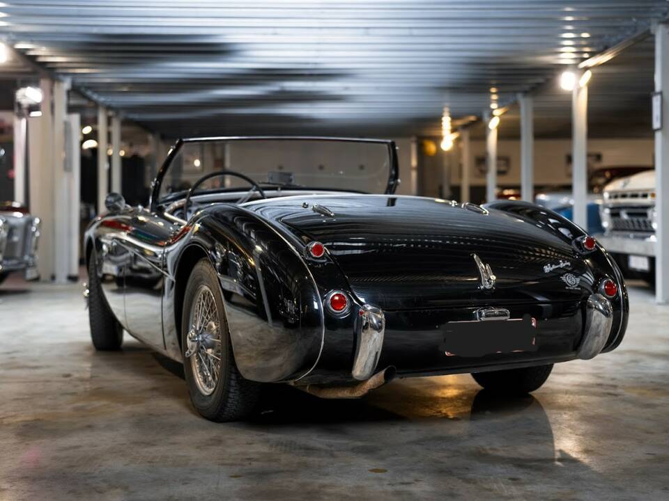 Immagine 4/28 di Austin-Healey 100/4 (BN1) (1955)