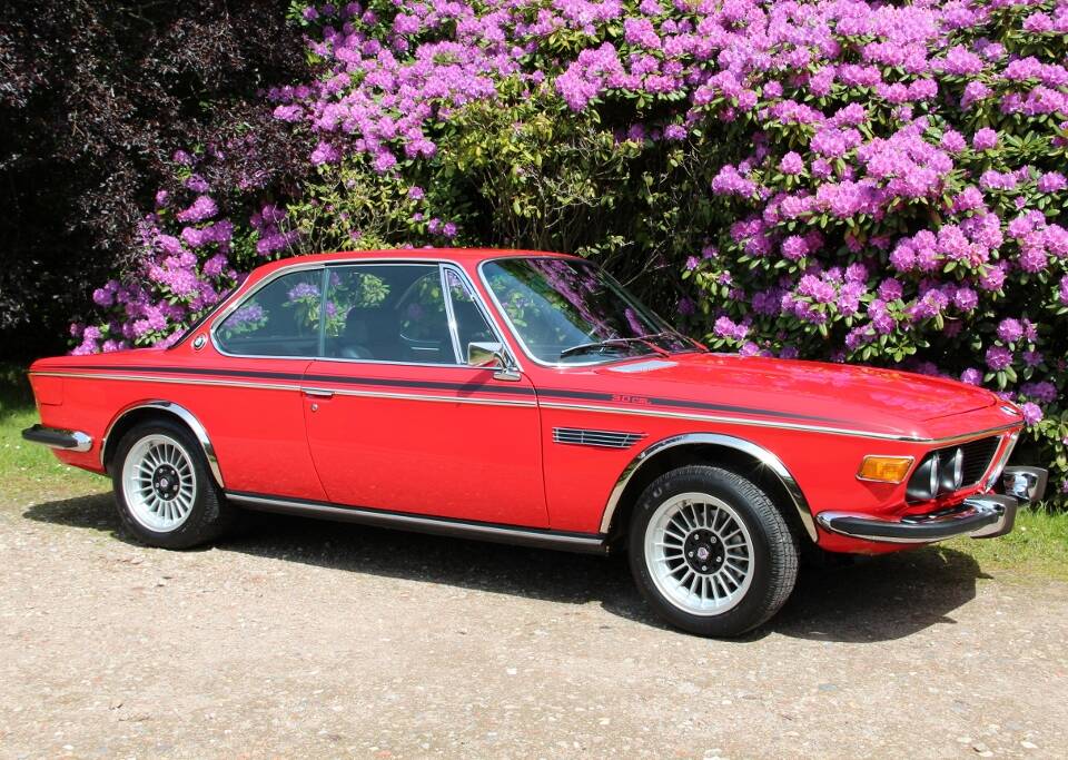 Immagine 14/65 di BMW 3.0 CSL (1973)