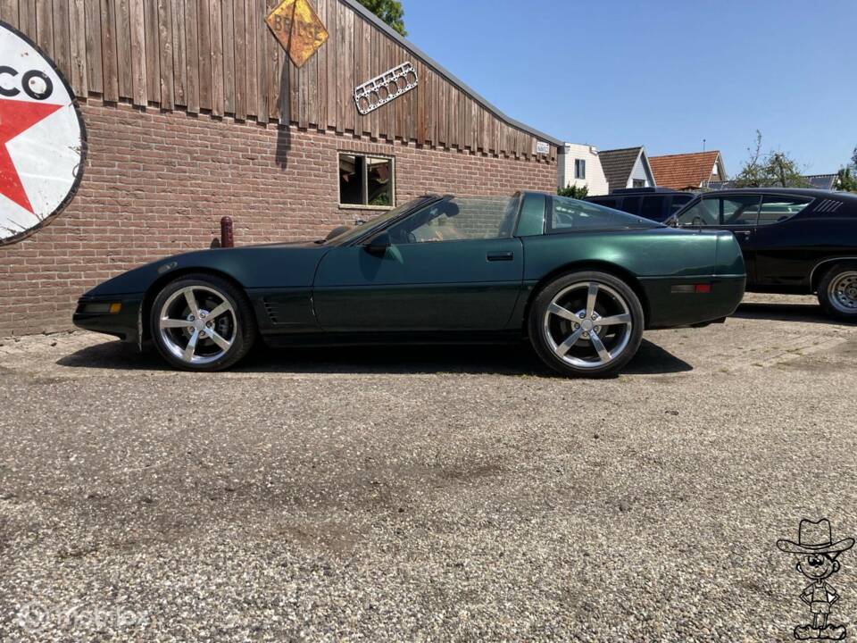 Immagine 20/29 di Chevrolet Corvette (1992)