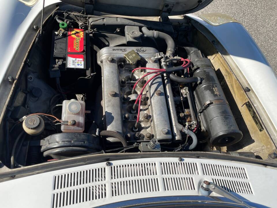Bild 7/29 von Alfa Romeo Spider 1300 Junior (1971)