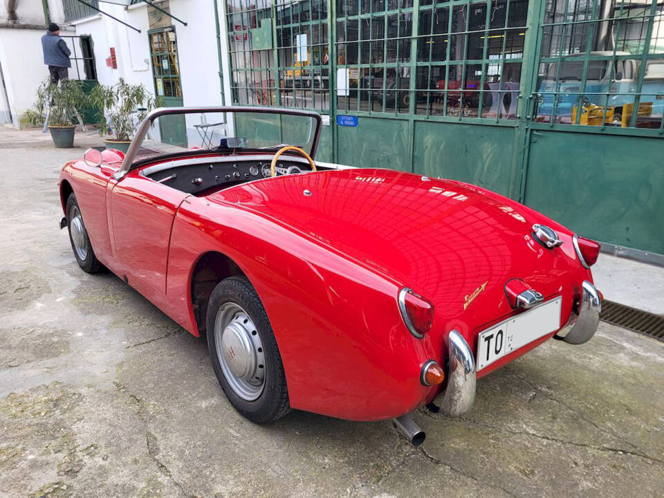 Image 13/51 of Austin-Healey Sprite Mk I (1960)