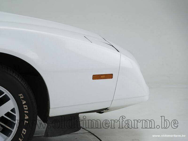 Image 11/15 de Pontiac Firebird TransAm (1990)