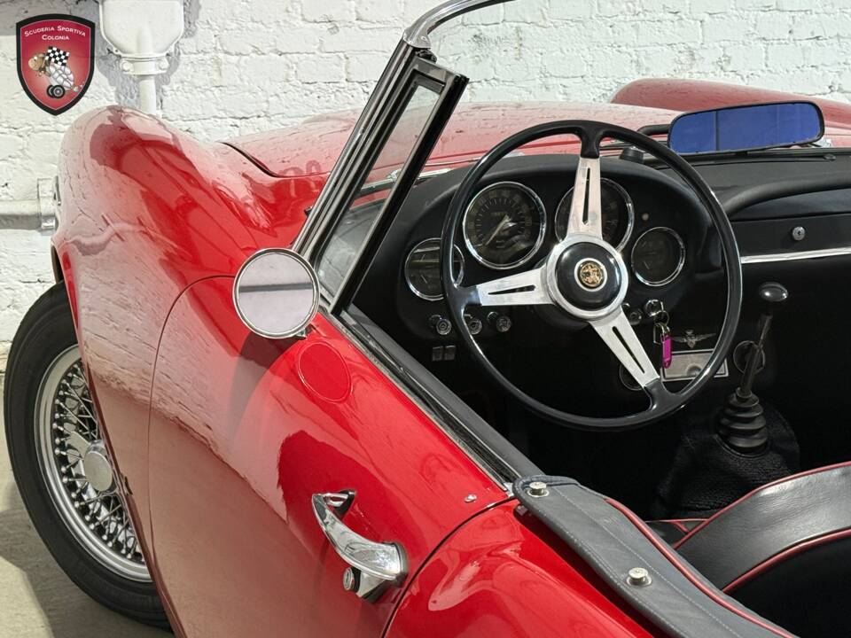Bild 59/76 von Alfa Romeo 2600 Spider (1964)