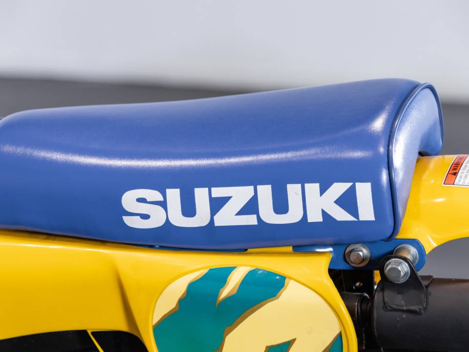 Immagine 20/21 di Suzuki DUMMY (1991)