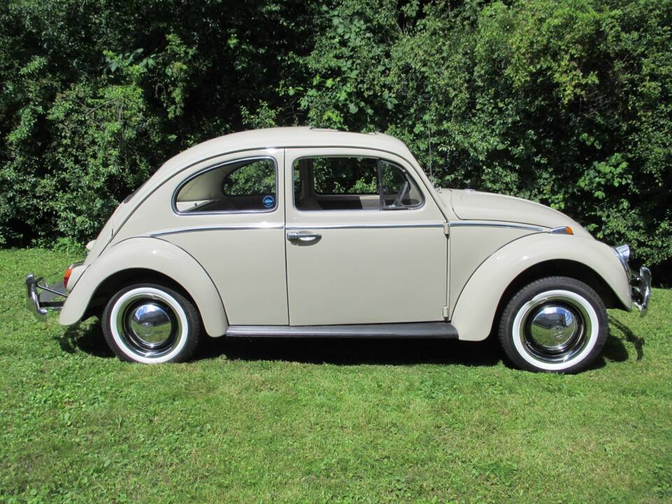 Image 24/39 of Volkswagen Maggiolino 1200 Export "Dickholmer" (1964)