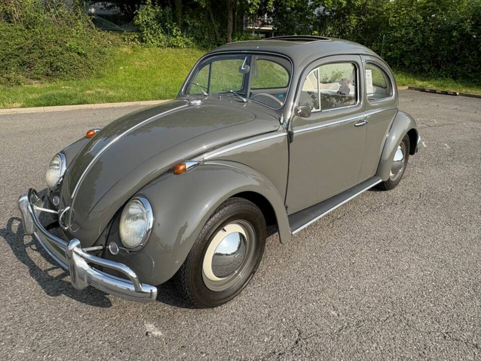 Imagen 1/48 de Volkswagen Coccinelle 1200 Export &quot;Dickholmer&quot; (1963)