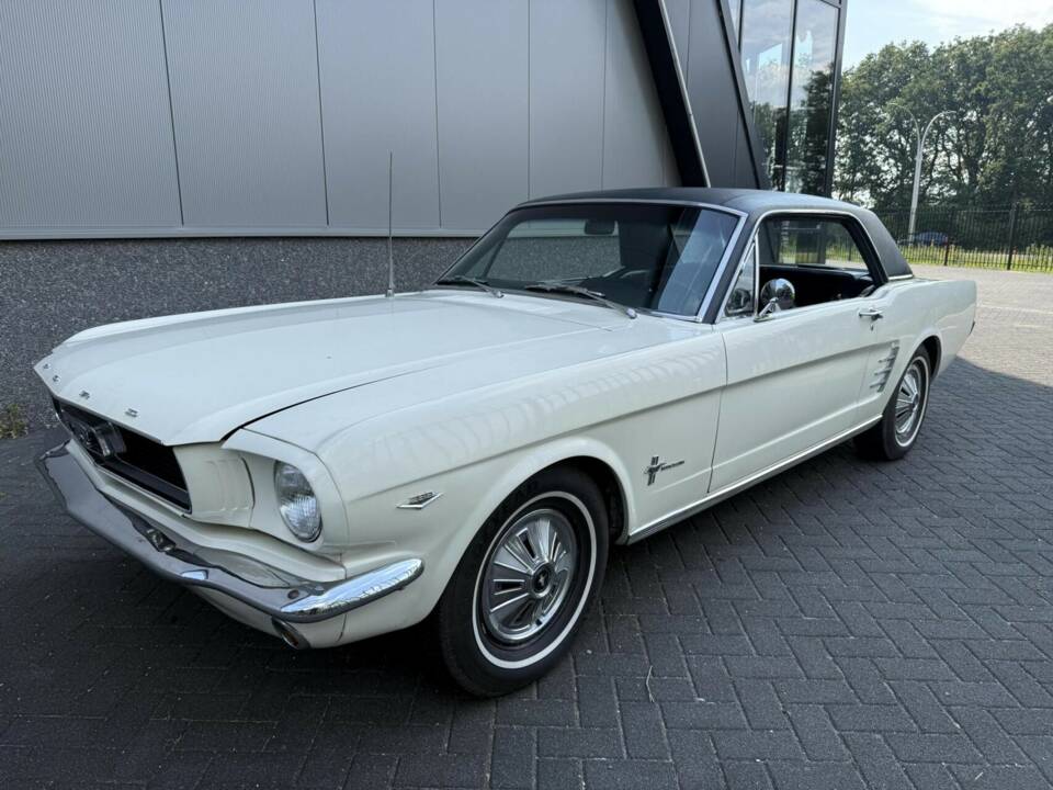 Image 14/40 of Ford Shelby GT 350 (1966)