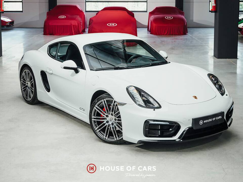 Bild 4/25 von Porsche Cayman GTS (2015)