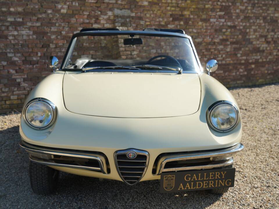 Image 5/50 de Alfa Romeo 1600 Spider Duetto (1967)