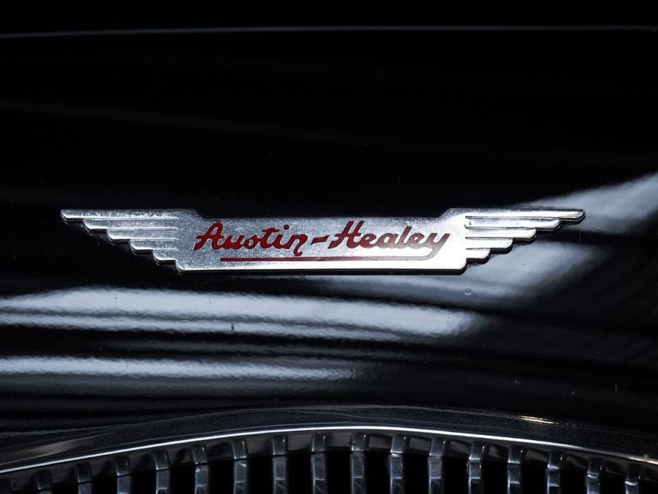 Immagine 7/28 di Austin-Healey 100/4 (BN1) (1955)