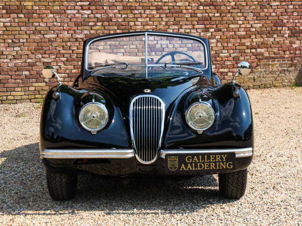 Immagine 16/50 di Jaguar XK 120 DHC (1953)