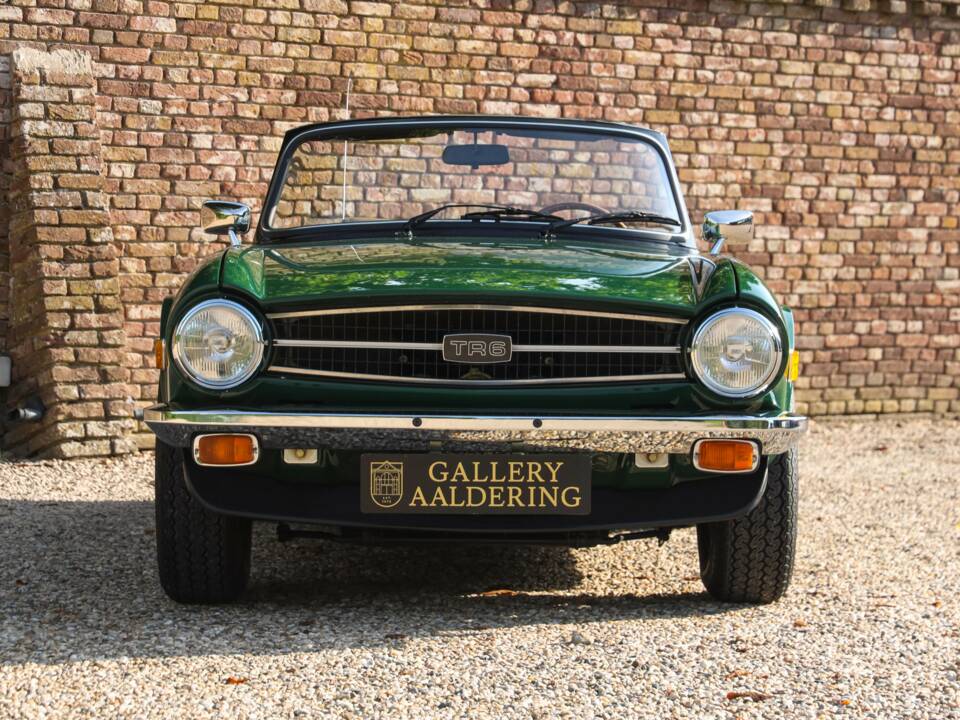 Immagine 5/50 di Triumph TR 6 (1976)